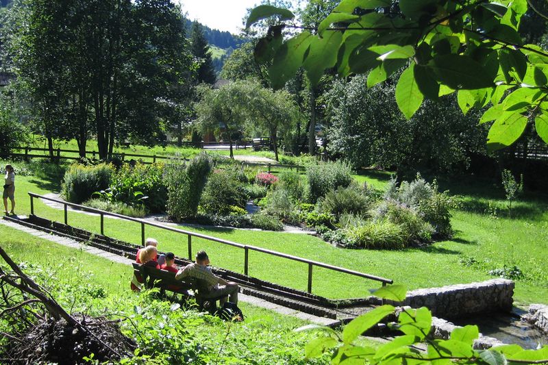 Water treading basin and herbary