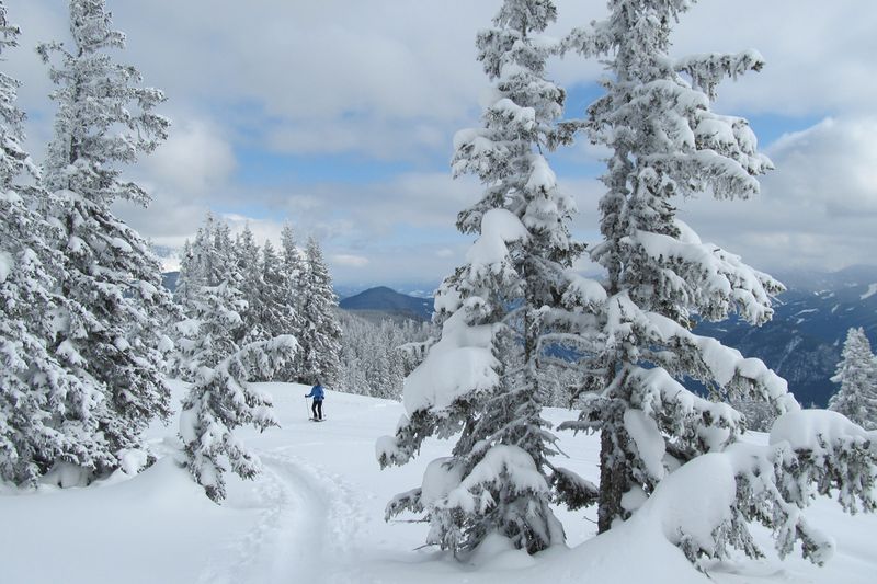 Zauberhafte Winterlandschaft