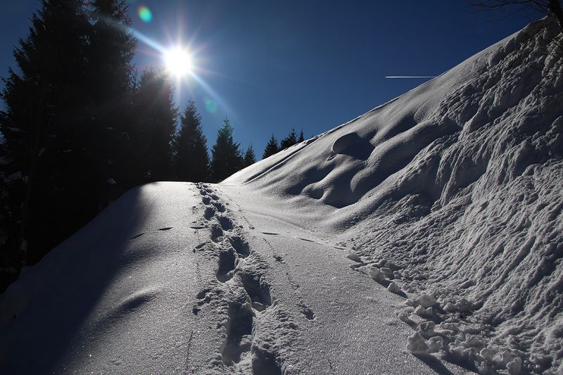 Schneeschuhwanderung